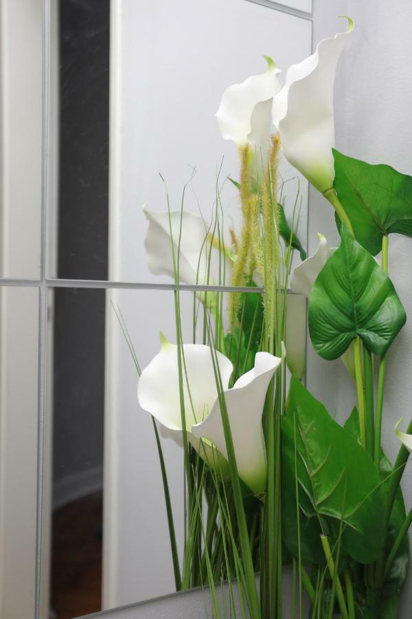 Skadar Apartment Belgrade Exterior photo